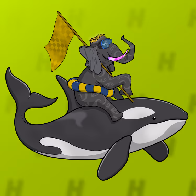 Ocean Racer #17339
