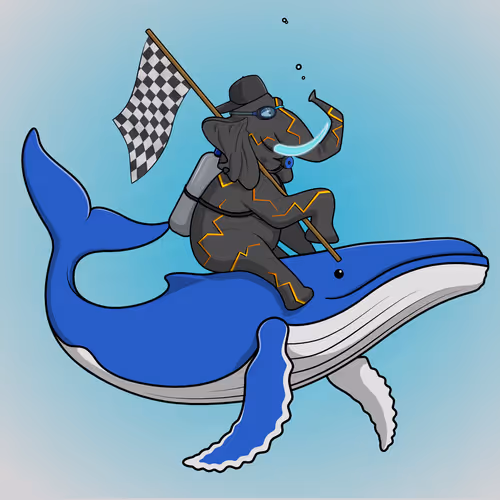 Ocean Racer #709