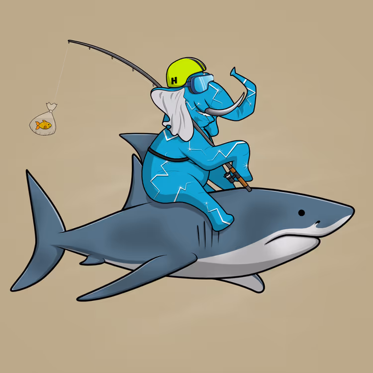 Ocean Racer #14939
