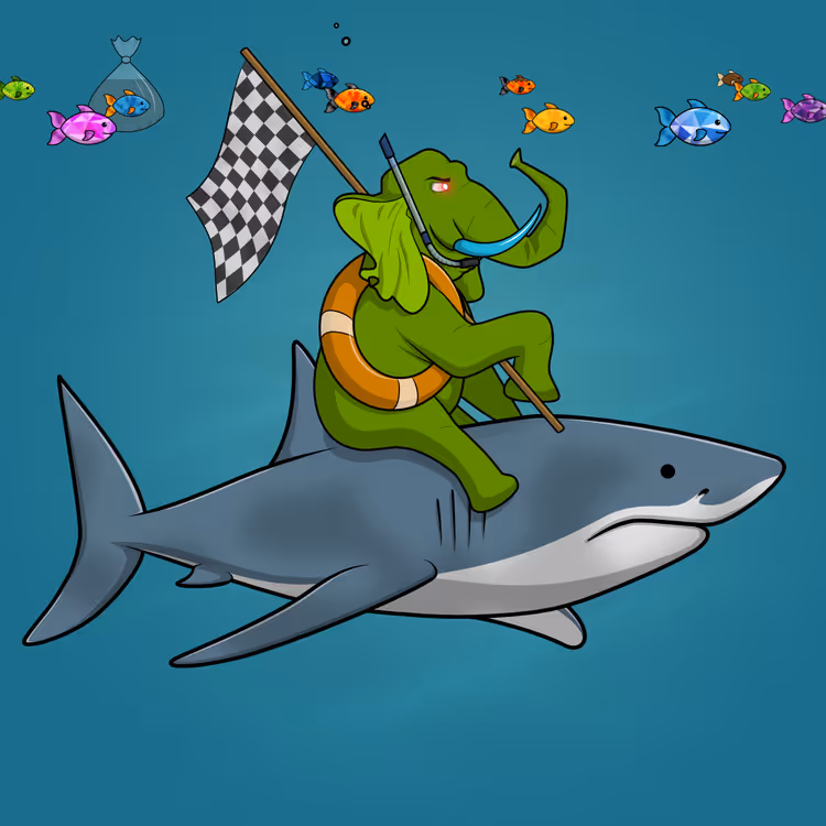 Ocean Racer #20317