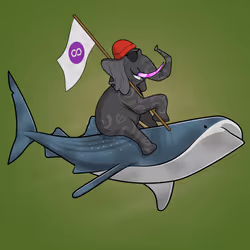 Ocean Racer #18717