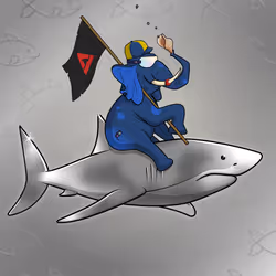 Ocean Racer #17206