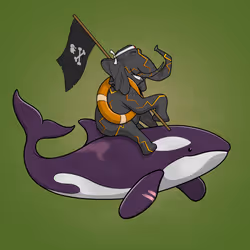 Ocean Racer #4444