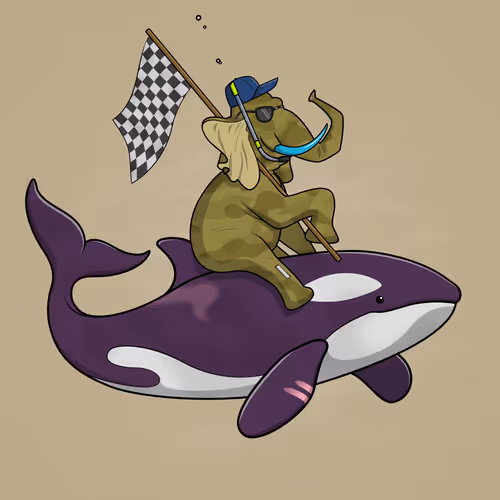Ocean Racer #14231