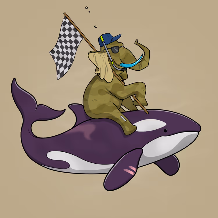 Ocean Racer #14231
