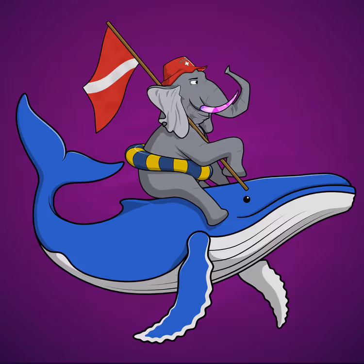 Ocean Racer #5193