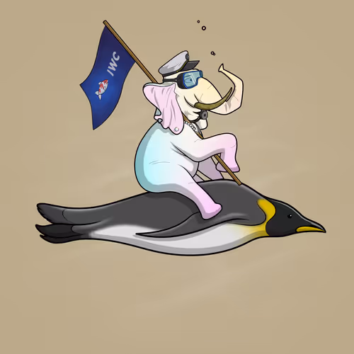 Ocean Racer #12781