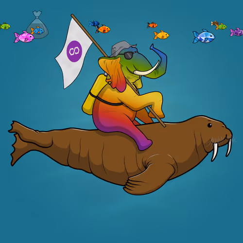 Ocean Racer #13164