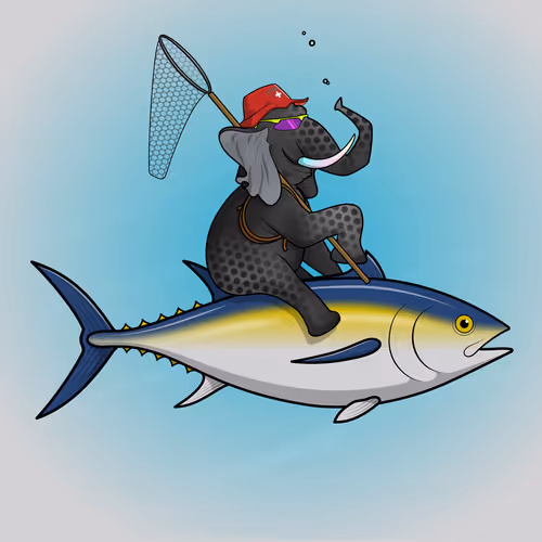 Ocean Racer #17091