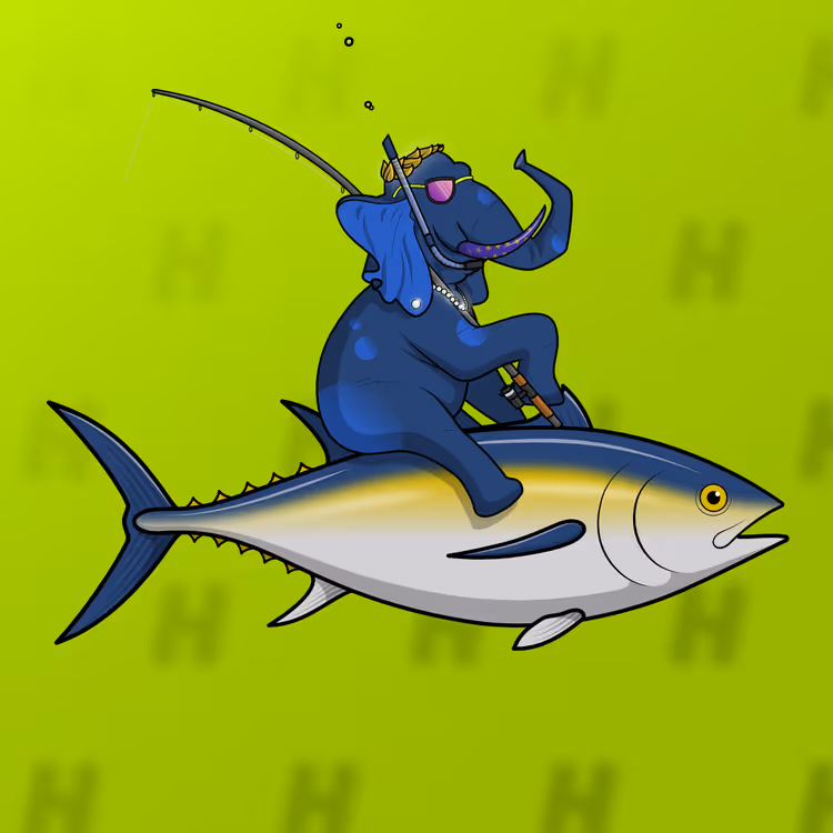 Ocean Racer #10324
