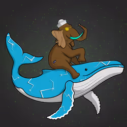 Ocean Racer #20988