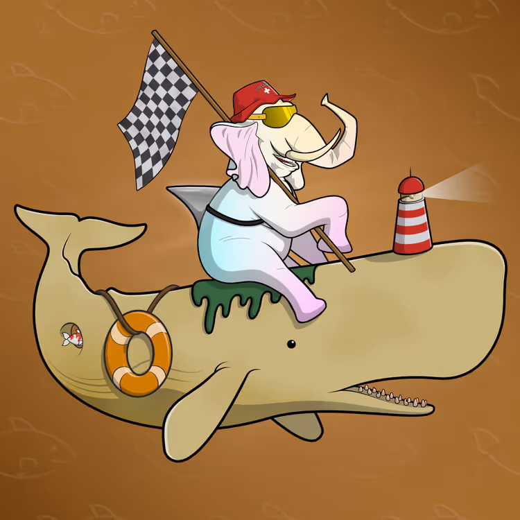 Ocean Racer #9305