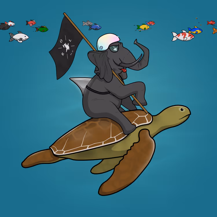 Ocean Racer #16096