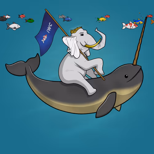 Ocean Racer #13208
