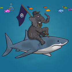 Ocean Racer #10899