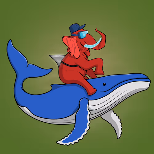 Ocean Racer #16306