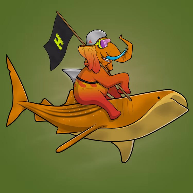 Ocean Racer #15255