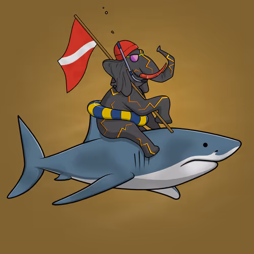 Ocean Racer #17318