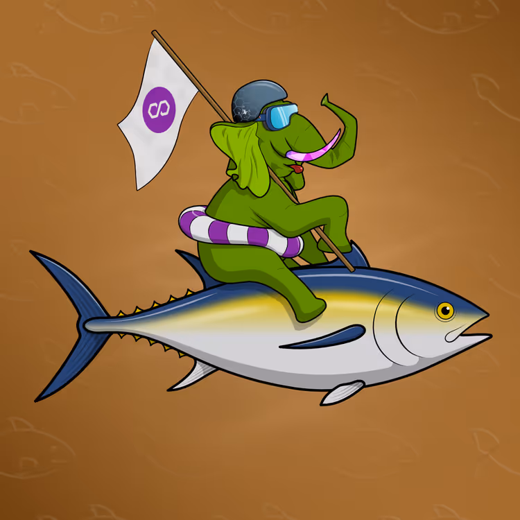 Ocean Racer #11323