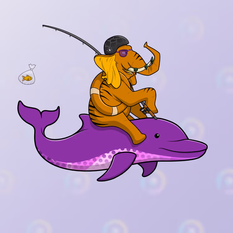 Ocean Racer #11843