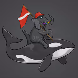 Ocean Racer #5985