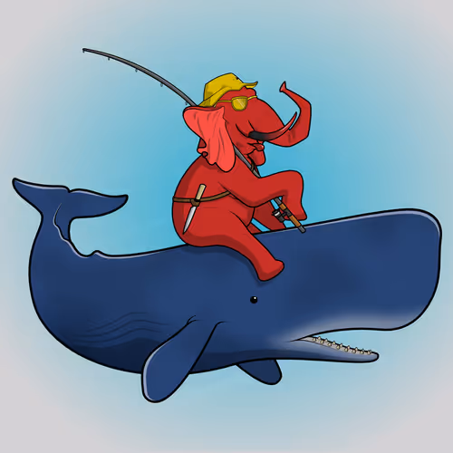 Ocean Racer #15077
