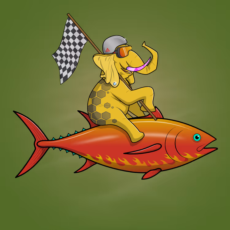 Ocean Racer #19496