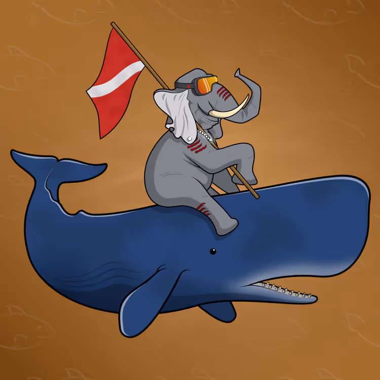 Ocean Racer #16393