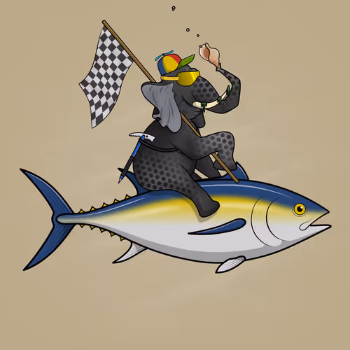 Ocean Racer #11109