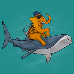 Ocean Racer #565