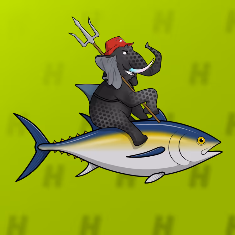 Ocean Racer #12867