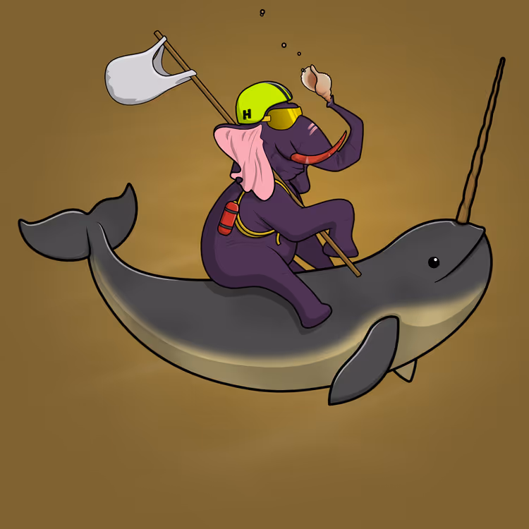 Ocean Racer #17706