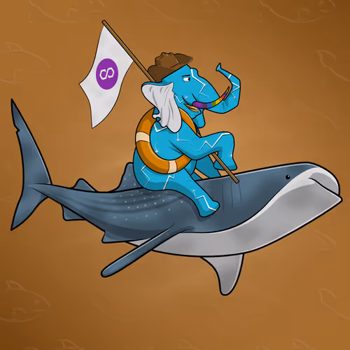 Ocean Racer #17356