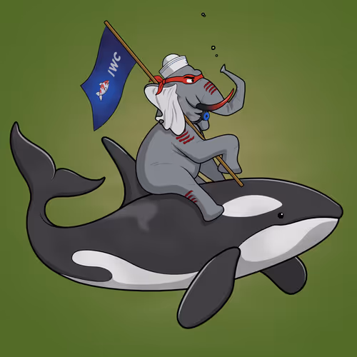 Ocean Racer #3964