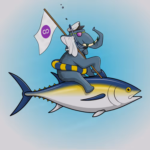 Ocean Racer #9755