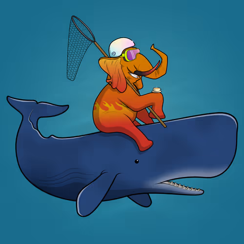 Ocean Racer #11316