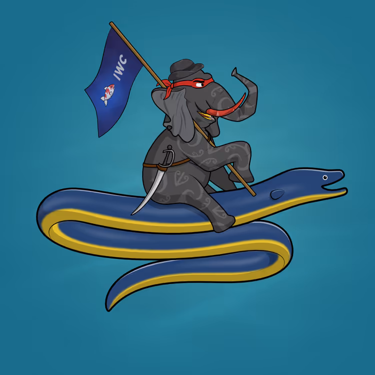 Ocean Racer #889