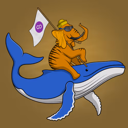 Ocean Racer #5156