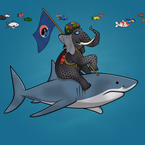 Ocean Racer #12942