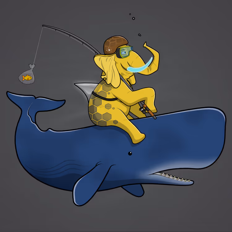 Ocean Racer #8546