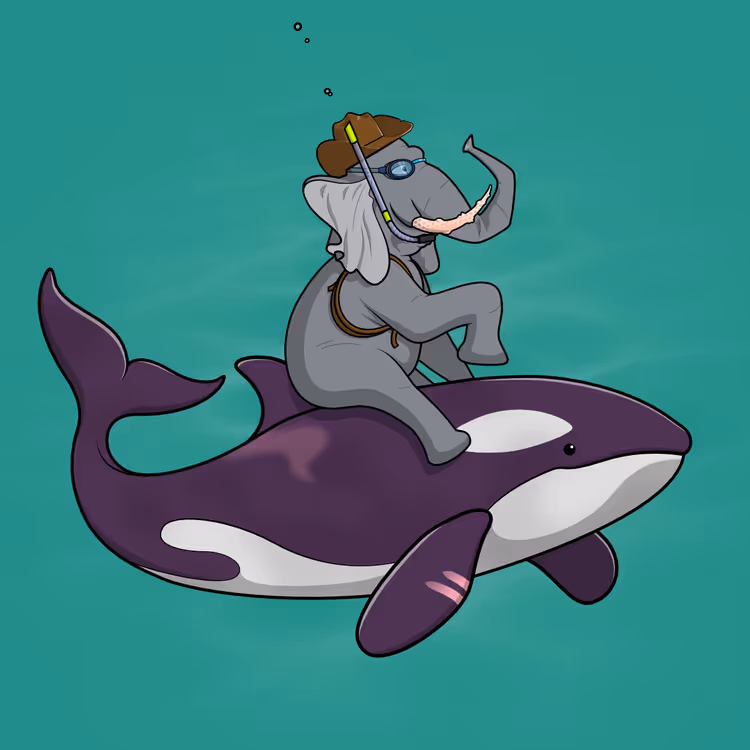 Ocean Racer #20