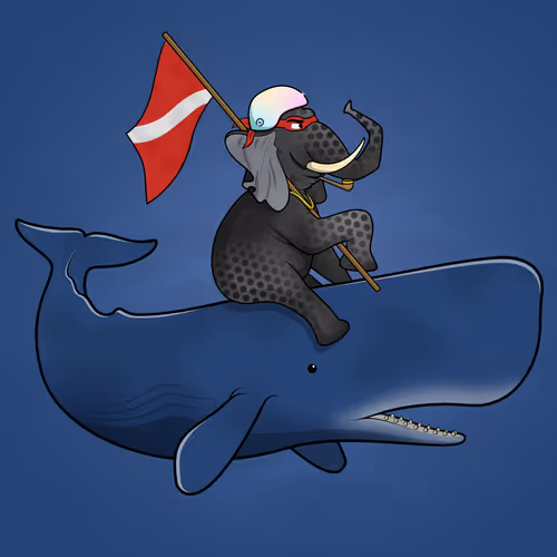 Ocean Racer #15608