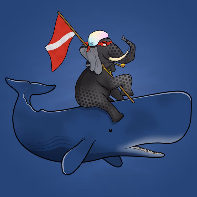 Ocean Racer #15608