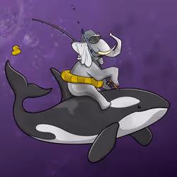Ocean Racer #11518