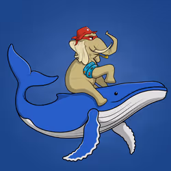 Ocean Racer #3883