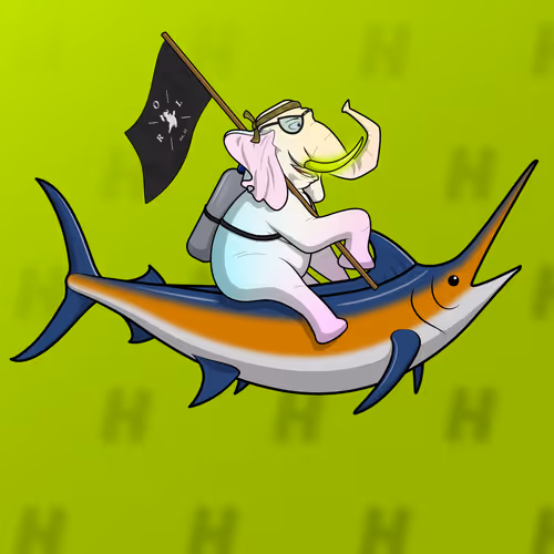 Ocean Racer #15934