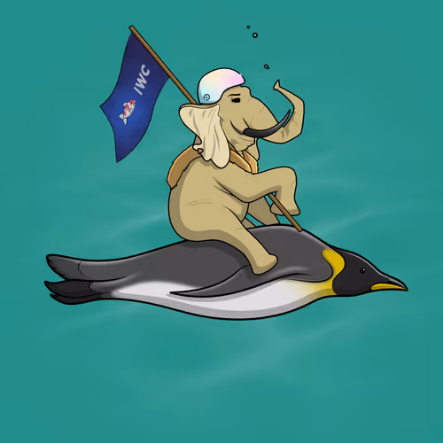 Ocean Racer #17036
