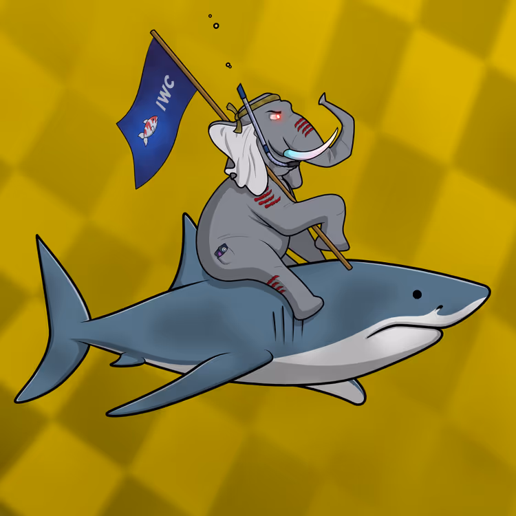 Ocean Racer #11166