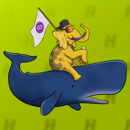 Ocean Racer #11132