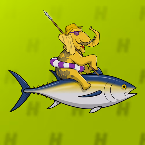 Ocean Racer #13988